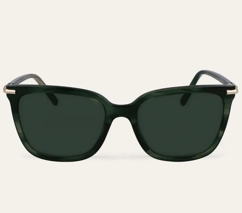 Ferragamo Butterfly Shape Acetate model Sunglasses 56-18